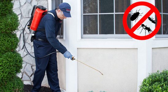 Basınsitesi Haşere İlaçlama böcek ilaçlama ve haşere kontrolü — ilaclama-tr.com